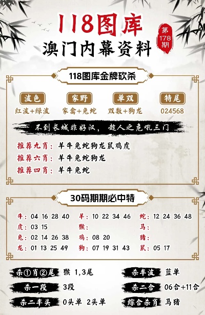 新澳门免费精准大全全面释义、解释与落实